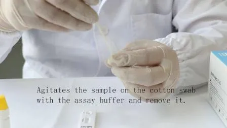 Virus Rapid Detection Kit Self-Testing Kitantigen Diagnostic Chlamydia Test Kit