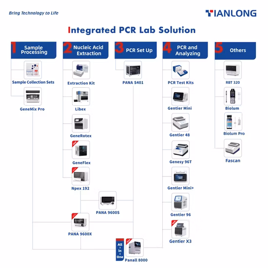 Detection Kit for Avian Influenza Virus H5/H7/H9/Universal Subtype Rna (PCR-Fluorescence Probing)