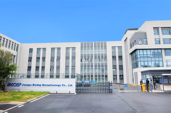 Factory Supplies Probiotic Food/Medical Grade Streptococcus Thermophilus