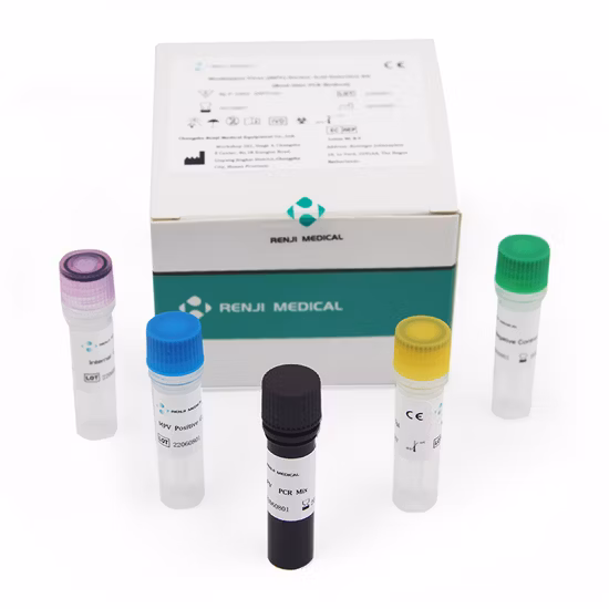 Renji Monkeypox Virus Nucleic Acid Detection Kit Monkeypox PCR Test Kit