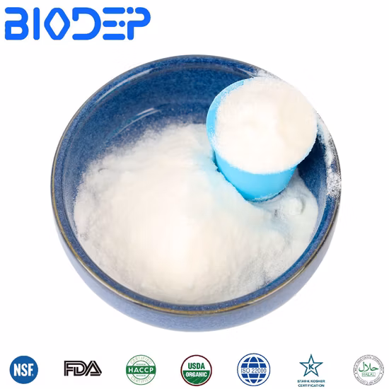 Food Grade Probiotics for in Gastrointestinal Healthcare Bifidobacterium Bifidum Longum